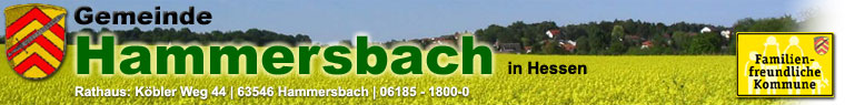 Hammersbach Website